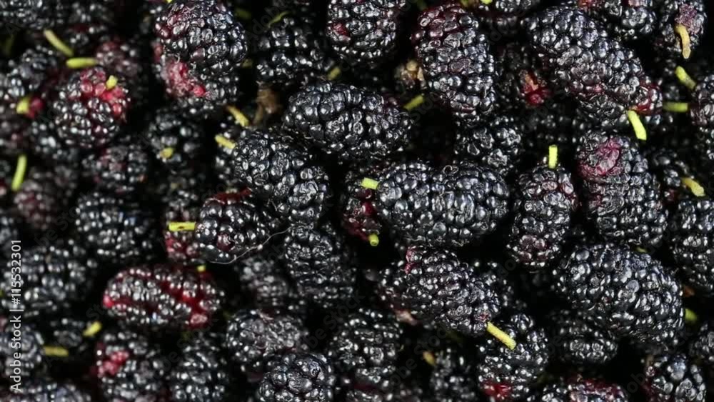 Mulberry close up. Loop rotation. Front of the camera rotates plate with mulberry Mulberry close up. Loop rotation. Front of the camera rotates plate with mulberry