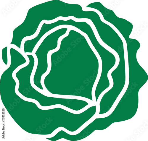 Lettuce salad
