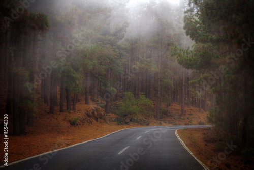 road in the clouds in the mountains