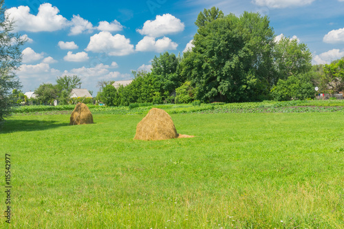 June landscape with peasant houses near meadow in central Ukraine. photo