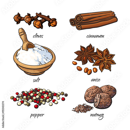 Set of spices - cinnamon, pepper, anise, nutmeg, salt, clove, isolated sketch style vector illustration on white background. Traditional cooking spices in Asian and Indian cuisine
