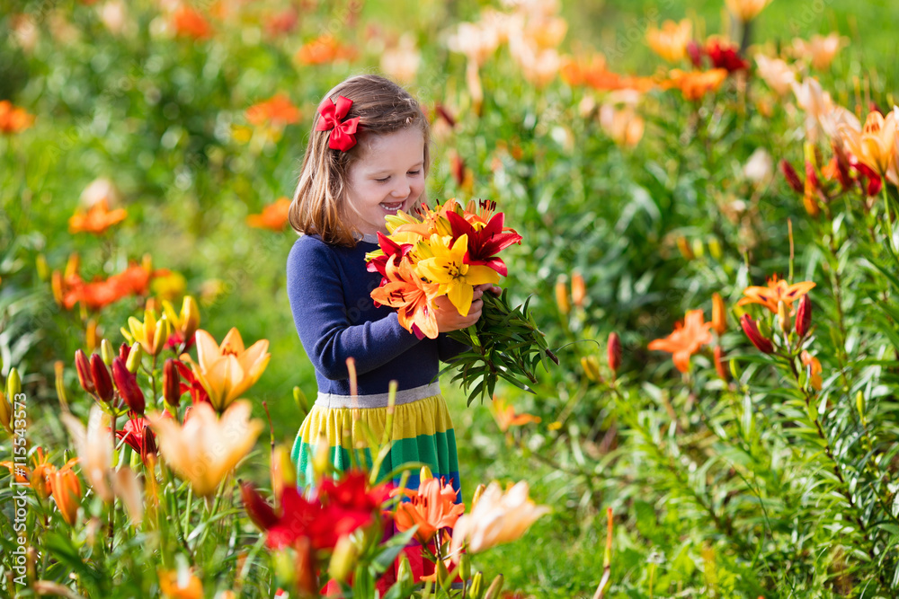 Naklejka premium Little girl picking lilly flowers