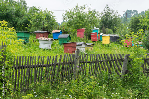 Apiary with colorful houses