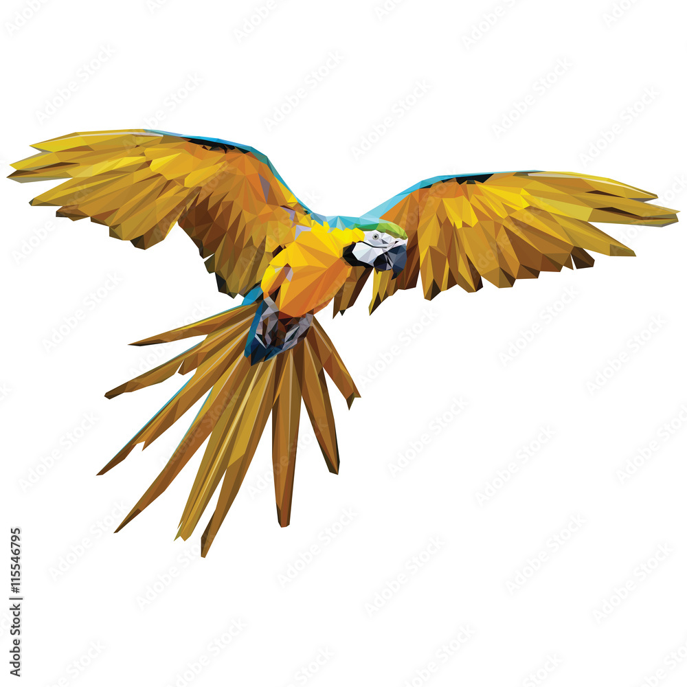 Arara Low Poly