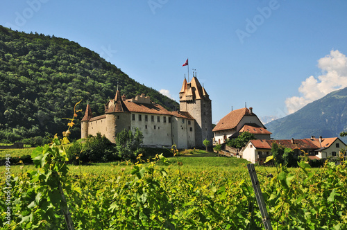 Il castello di Aigle, Cantone di Vaud - Svizzera