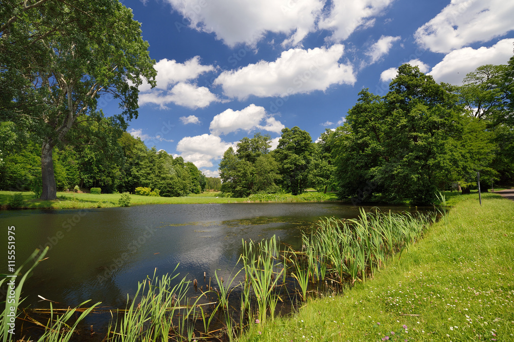 Beautiful landscape. Green meadow with blue sky.
