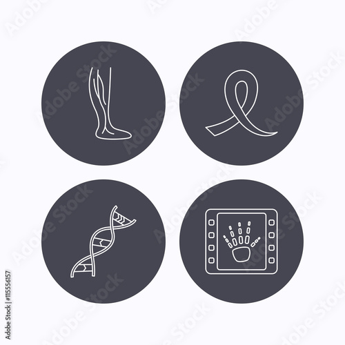 Phlebology, DNA and X-ray icons.