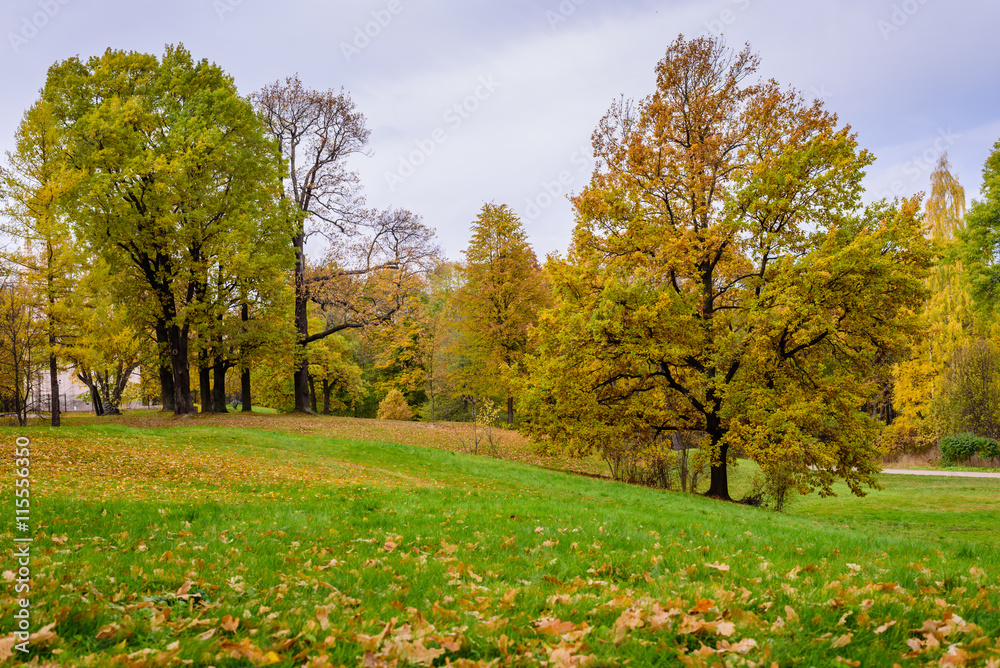 Beautiful autumn landscape, Saint-Petersburg, Russia.