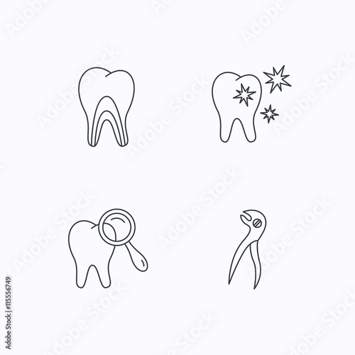 Healthy teeth  dentinal tubules and pliers icons.