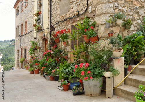 Street decorated with flowers in the pots