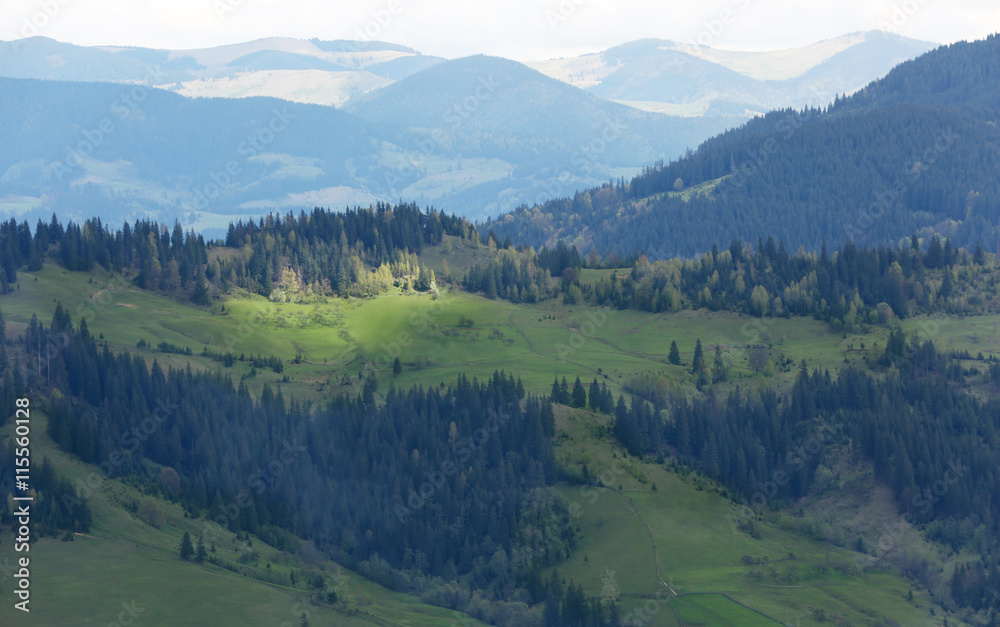 Spring forest on mountain slopes Spring forest on mountain slopes