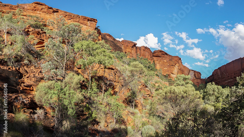 Kings Canyon  Watarrka National Park  Northern Territory  Australia