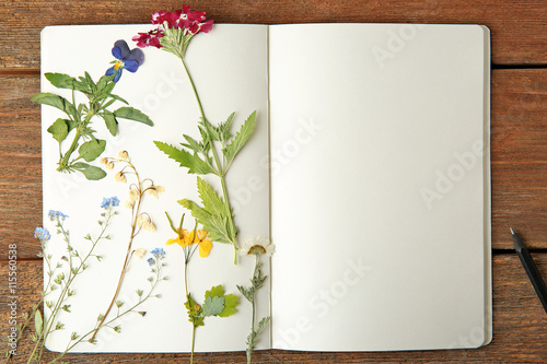 Beautiful dried flowers in notebook on wooden background photo