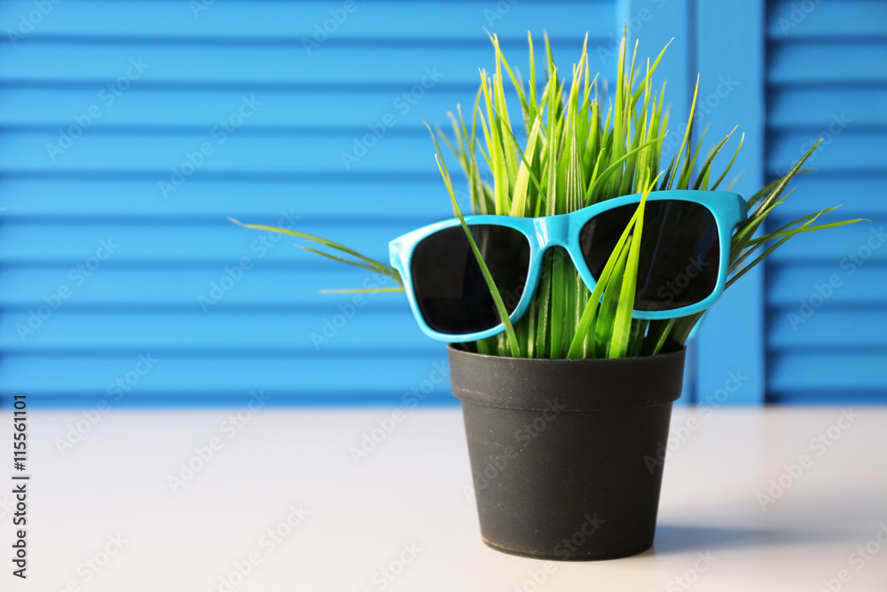 Green Plant With Sunglasses On Blue Folding Screen Background Stock green-plant-with-sunglasses-on-blue-folding-screen-background-stock