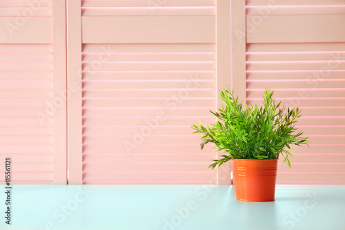 Green plant on pink folding screen background
