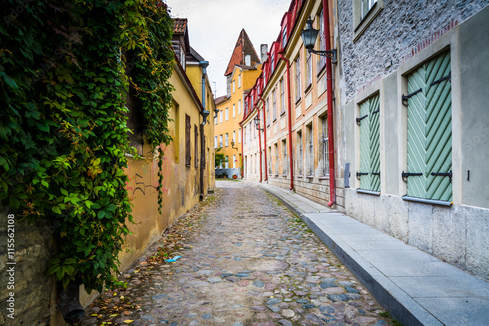 A narrow cobblestone street, in the Old Town of Tallinn, Estonia