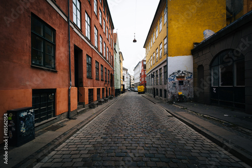 A narrow street  in Copenhagen  Denmark.