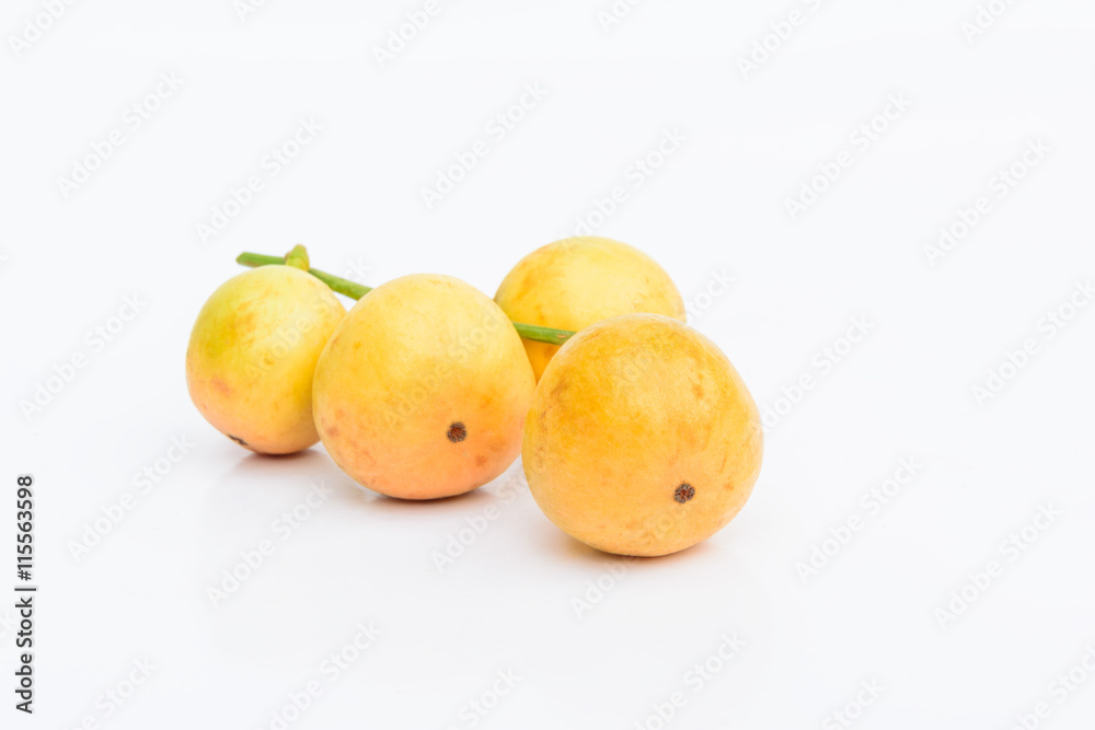 ramiflora fruit on white background