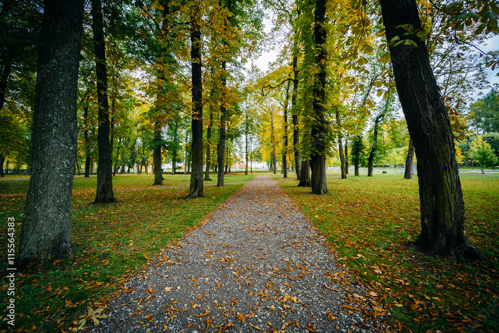 Fototapeta premium Early autumn color along a walkway seen at Kadrioru Park, in Tal