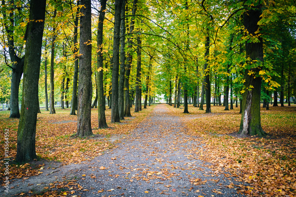 Early autumn color seen at Kadrioru Park, in Tallinn, Estonia.