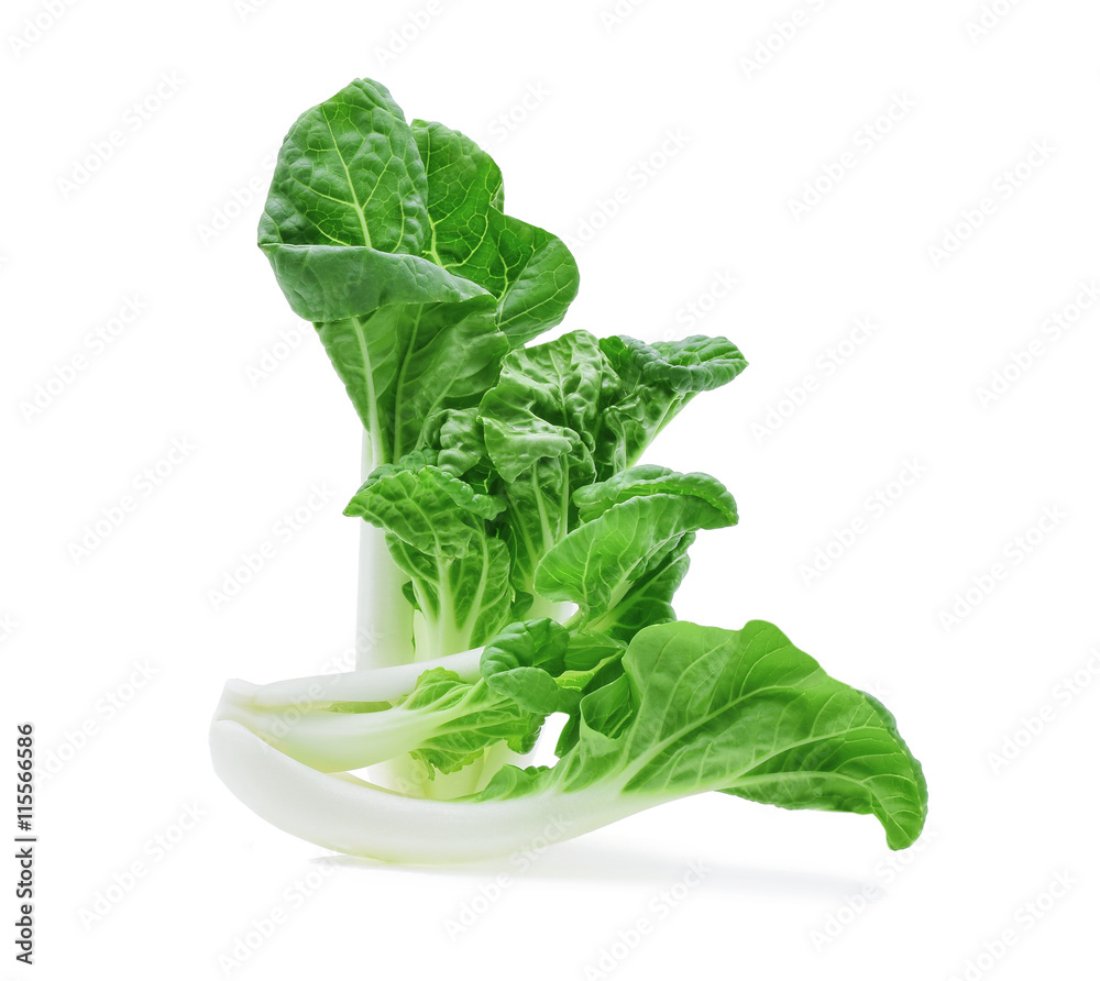 Bok choy vegetable isolated on white background Bok choy vegetable isolated on white background
