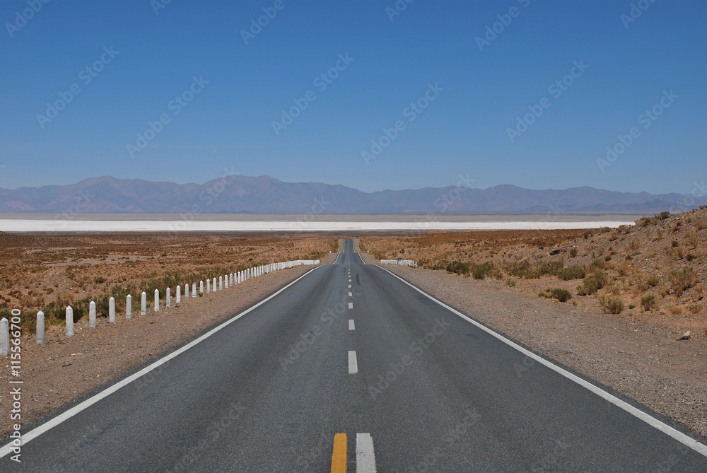 straight road towards salinas grandes high up in the andes, Jujuy, Salta, Argentina straight road towards salinas grandes high up in the andes, Jujuy, Salta, Argentina