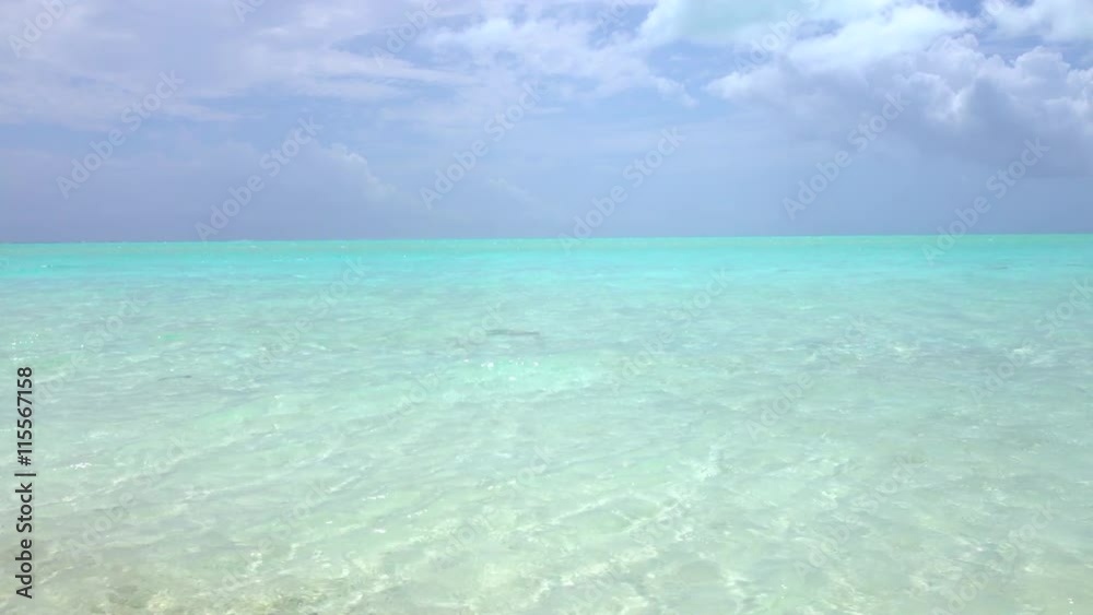 Endless blue lagoon with crystal clear ocean water Endless blue lagoon with crystal clear ocean water