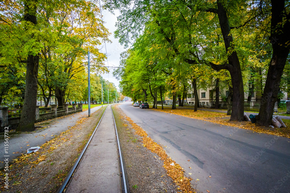 Tram tracks on A. Weizenbergi, in Tallinn, Estonia.