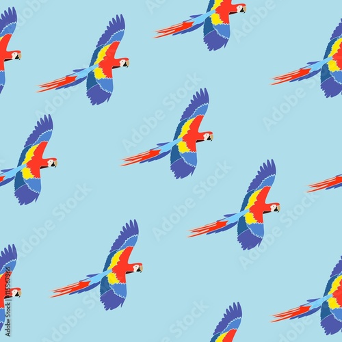 Seamless pattern parrot ara on blue, vector