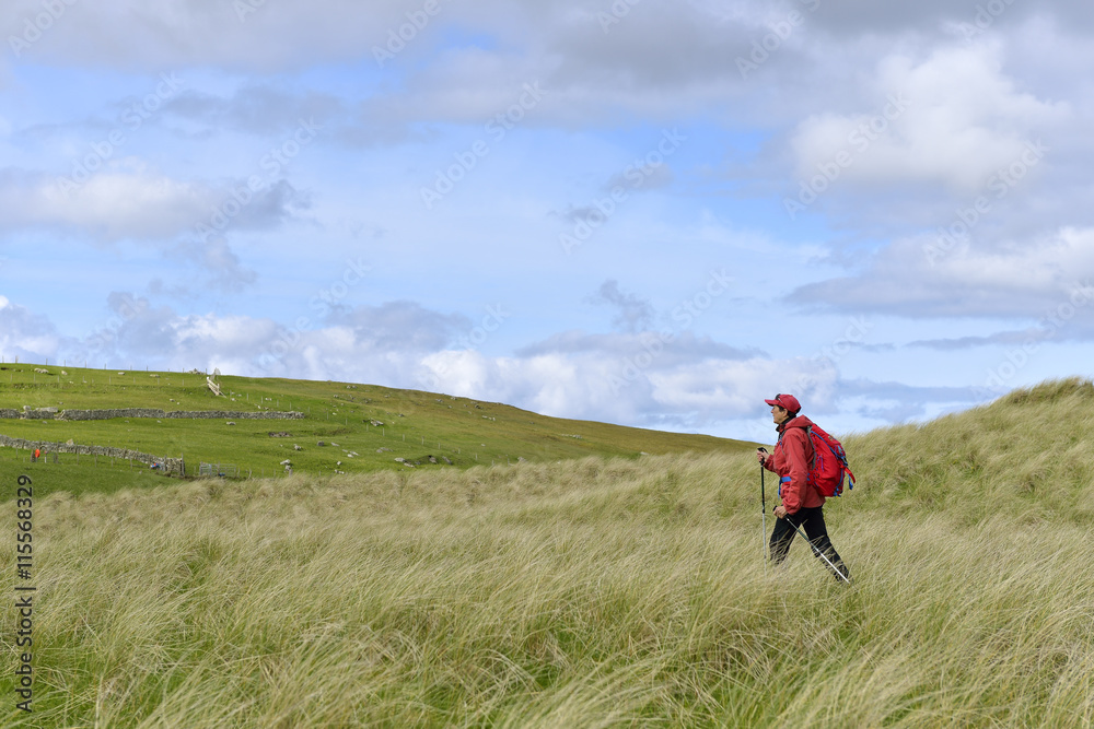 UK, Scotland, Shetland, Yell, Otterswick, Senior woman hiking in grassland UK, Scotland, Shetland, Yell, Otterswick, Senior woman hiking in grassland