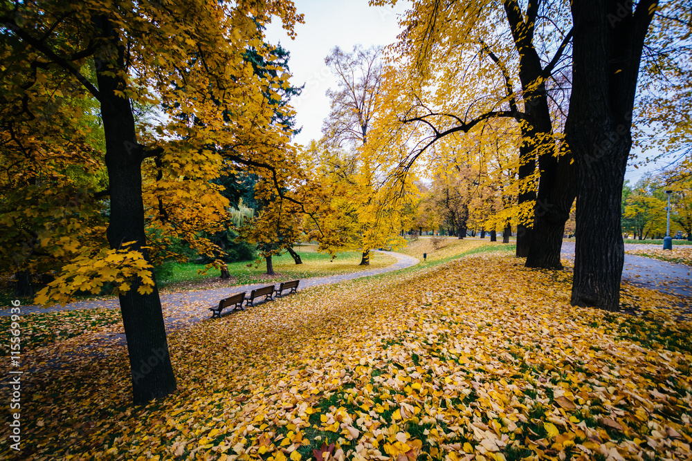 Autumn color and walkway at Letná Park, in Prague, Czech Republ