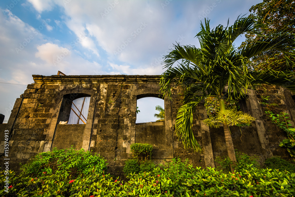Palm tree and historic walls of Fort Santiago, in Intramuros, Ma