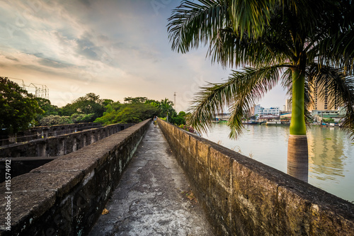 Palm tree and walls along the Pasig River, at Fort Santiago, Int
