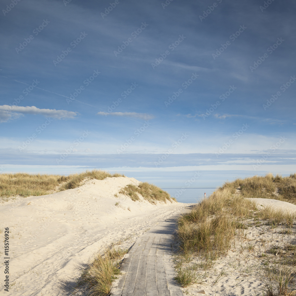 Sweden, Skane, Sandhammaren, Dirt road leading towards sea