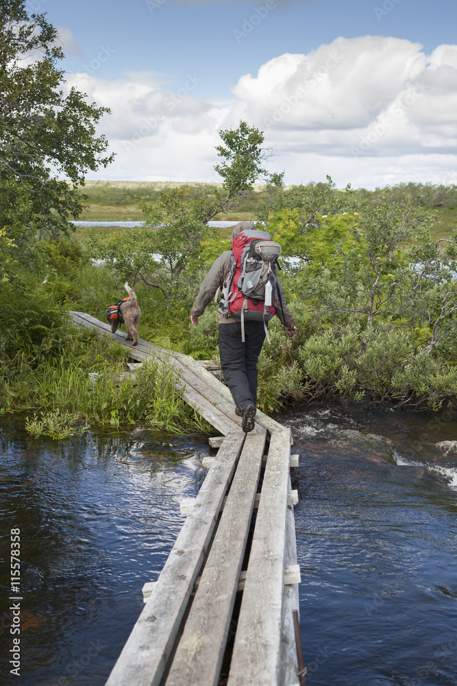 Sweden, Dalama, Fulufjallet National Park, Woman walking across footbridge Sweden, Dalama, Fulufjallet National Park, Woman walking across footbridge