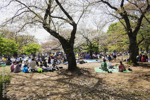 Japan, Tokyo, People relaxing in Yoyogi park photo