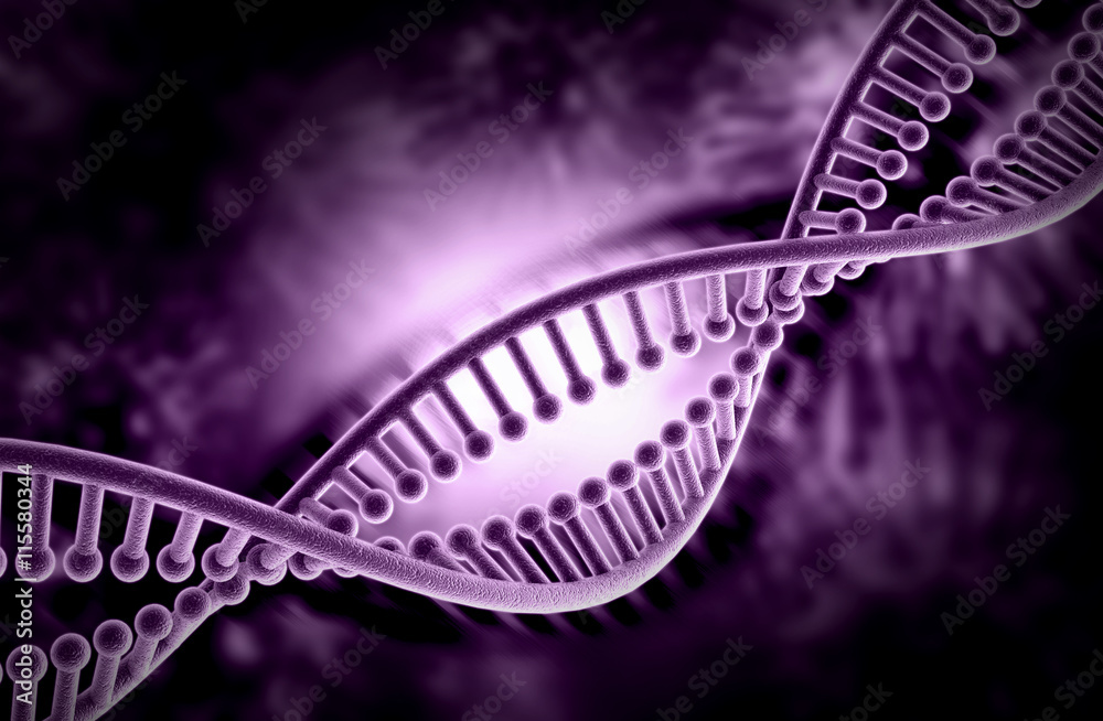 3d DNA structure 3d DNA structure