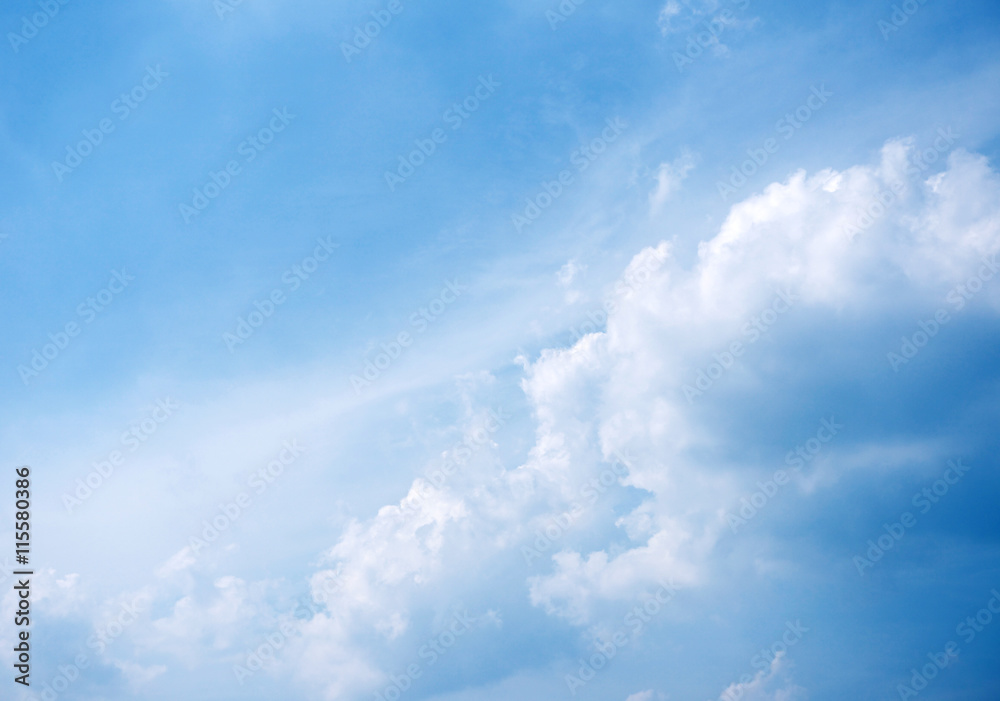 Fototapeta premium 青空と雲