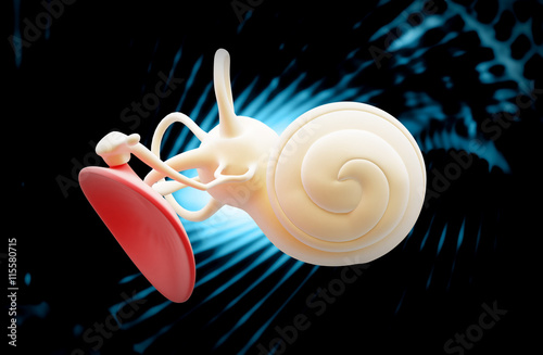 3d illustration of a inner ear structure photo