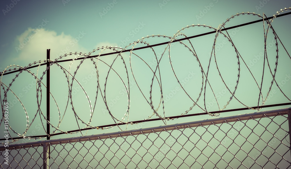 Barbed wire fence on sky background, retro style Barbed wire fence on sky background, retro style