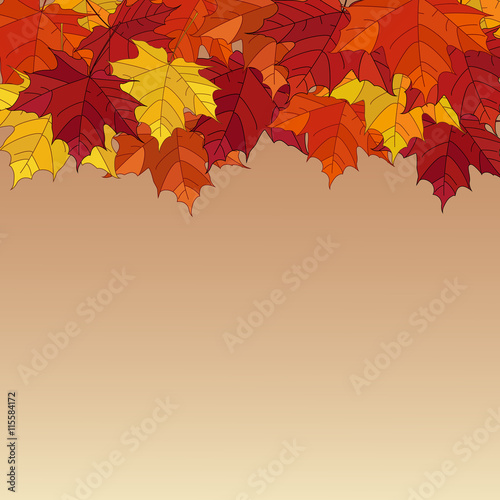 Frame from vivid colorful autumn leaves, natural seasonal backgr