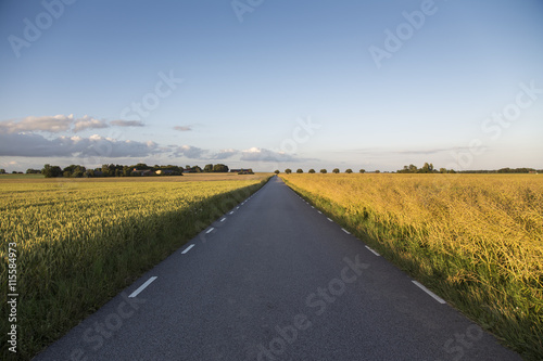 Sweden, Skane, Soderslatt, Beddingeen, Country road passing through meadow photo