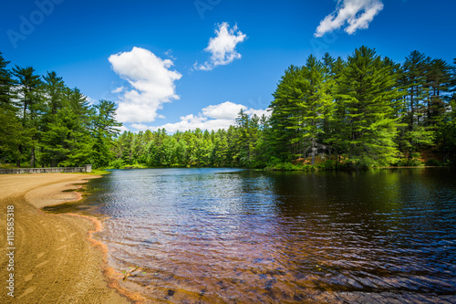 Beach on a lake at Bear Brook State Park, New Hampshire. photo