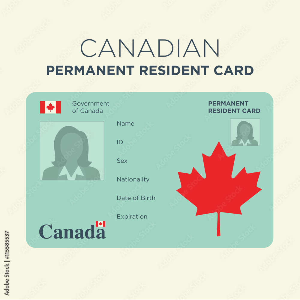 canadian-permanent-resident-card-stock-vector-adobe-stock