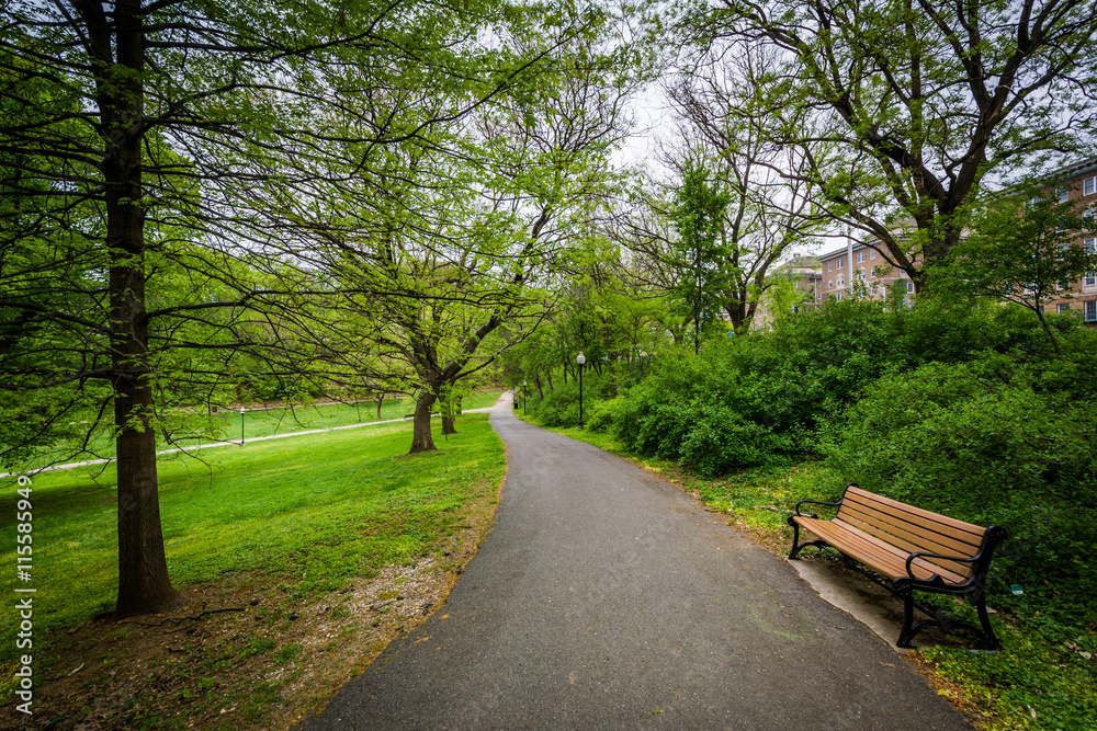 Bench and trees along a walkway at Wyman Park Dell, in Baltimore Bench and trees along a walkway at Wyman Park Dell, in Baltimore