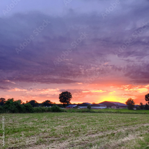 Sunset over a Field photo