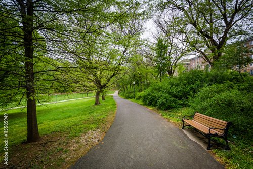 Bench and trees along a walkway at Wyman Park Dell, in Baltimore