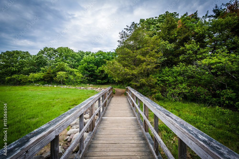 Boardwalk trail at Odiorne Point State Park, in Rye, New Hampshi