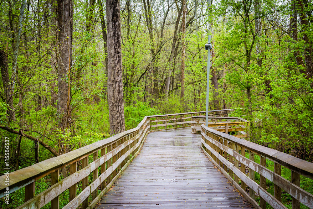 Boardwalk at Lake Roland Park, in Baltimore, Maryland.