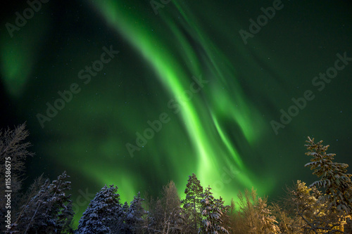 Finland, Lapland, Kittila, Levi, Aurora borealis over trees photo